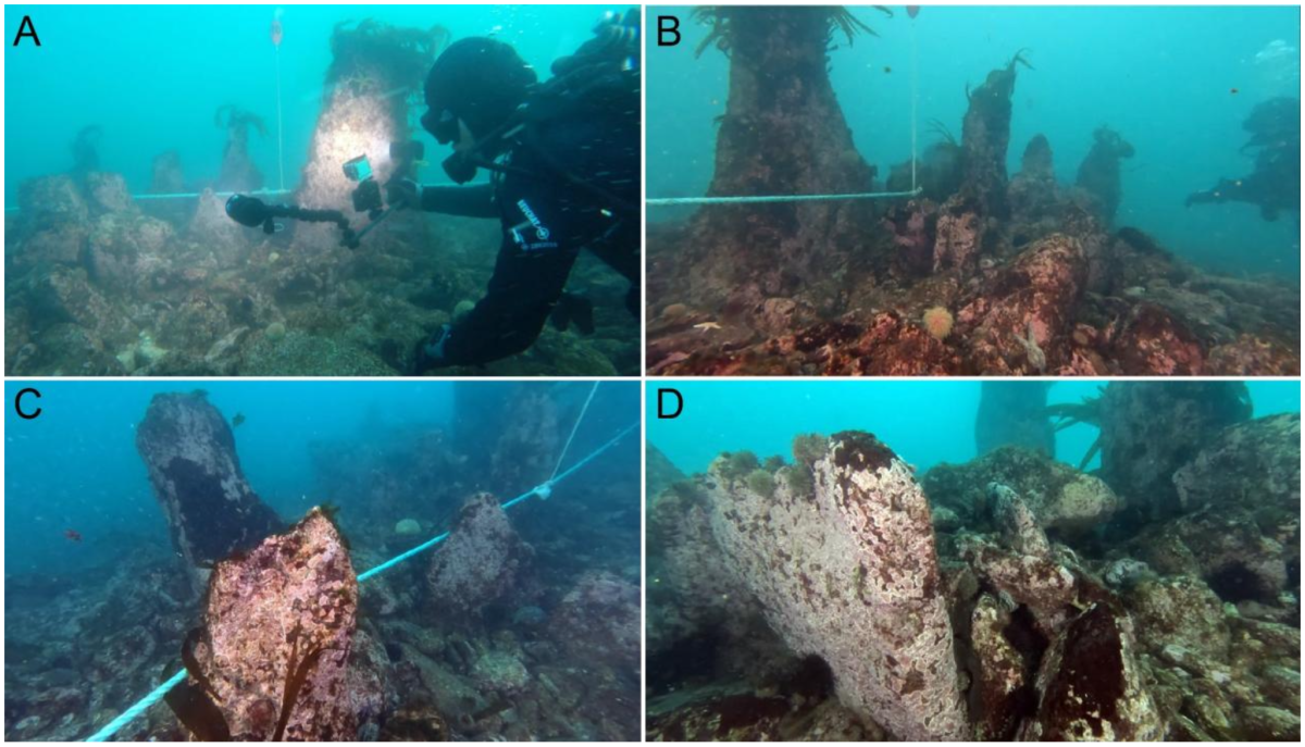 Quelques images extraites de la vidéo